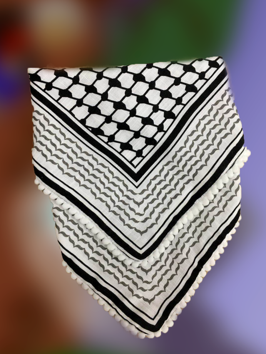 Laith the Lion Goes to Palestine