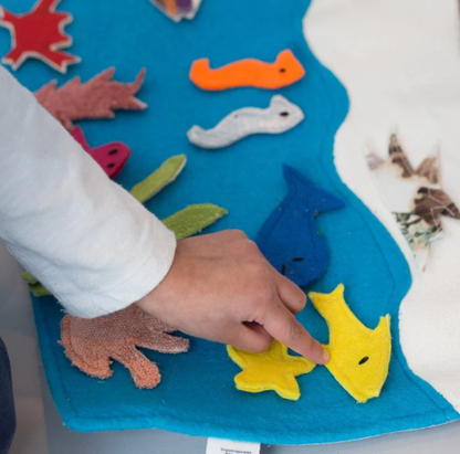 Assembly Kits & Storyboards