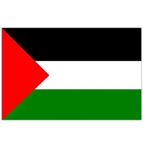 Palestine Flags