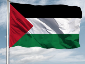 Palestine Flags - Image 1