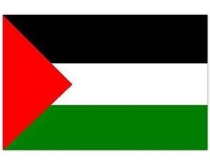 Palestine Flags - Image 2