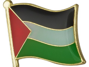 Pins - Image 1