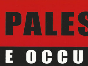 'Free Palestine - End the Occupation' bumper sticker - Image 1