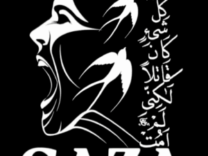 Gaza t-shirt - Image 1